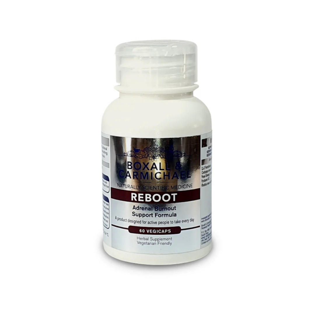 Boxall & Carmichael - Reboot 60s - Image 2