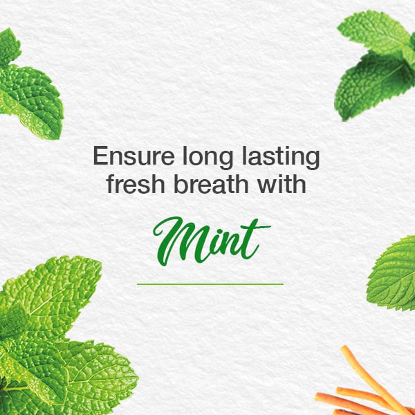 Himalaya - Toothpaste Mint Fresh Herbal 75ml - Image 2