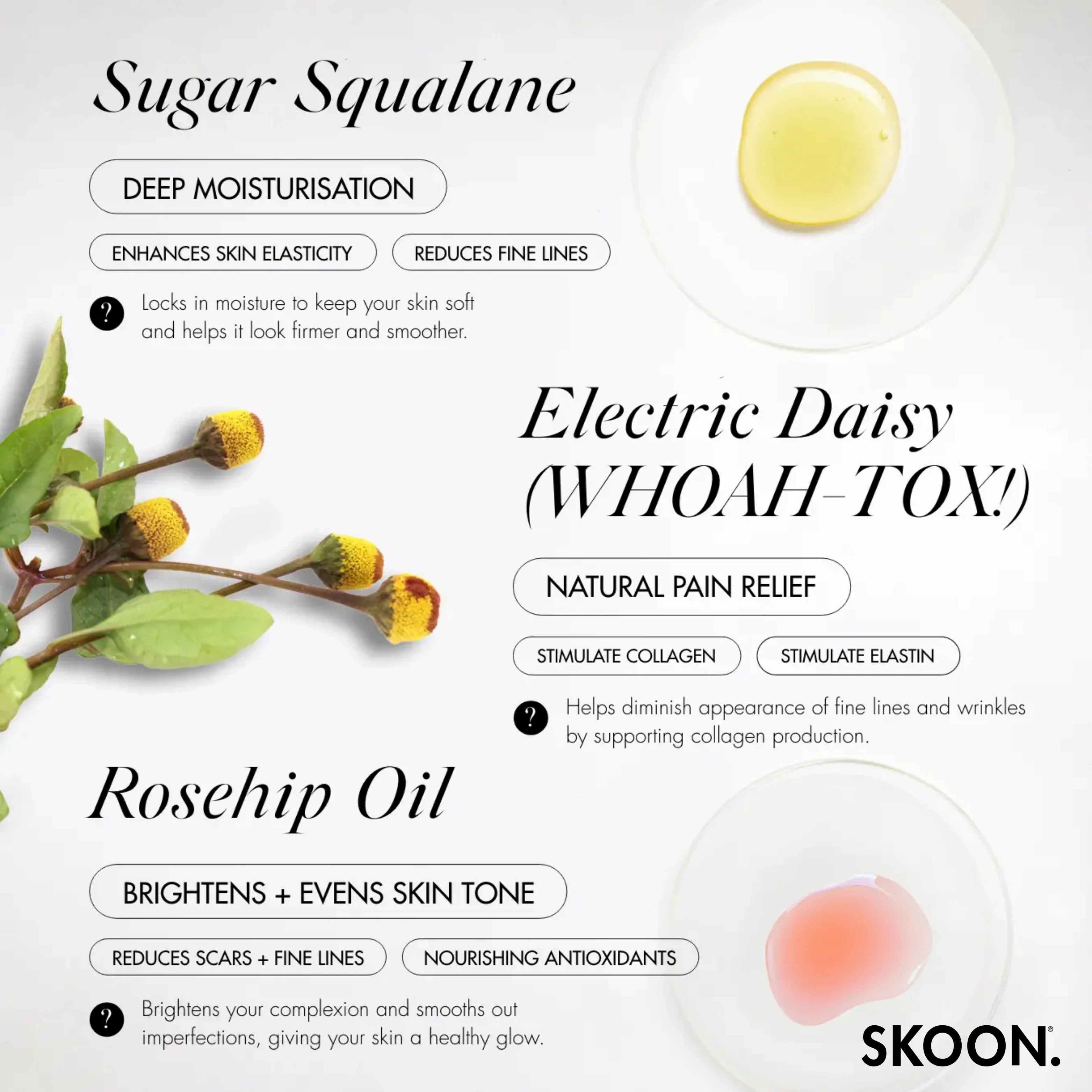 SKOON - Rosegold Deep Tissue Face Concentrate 15ml+Refill 15ml - Image 5