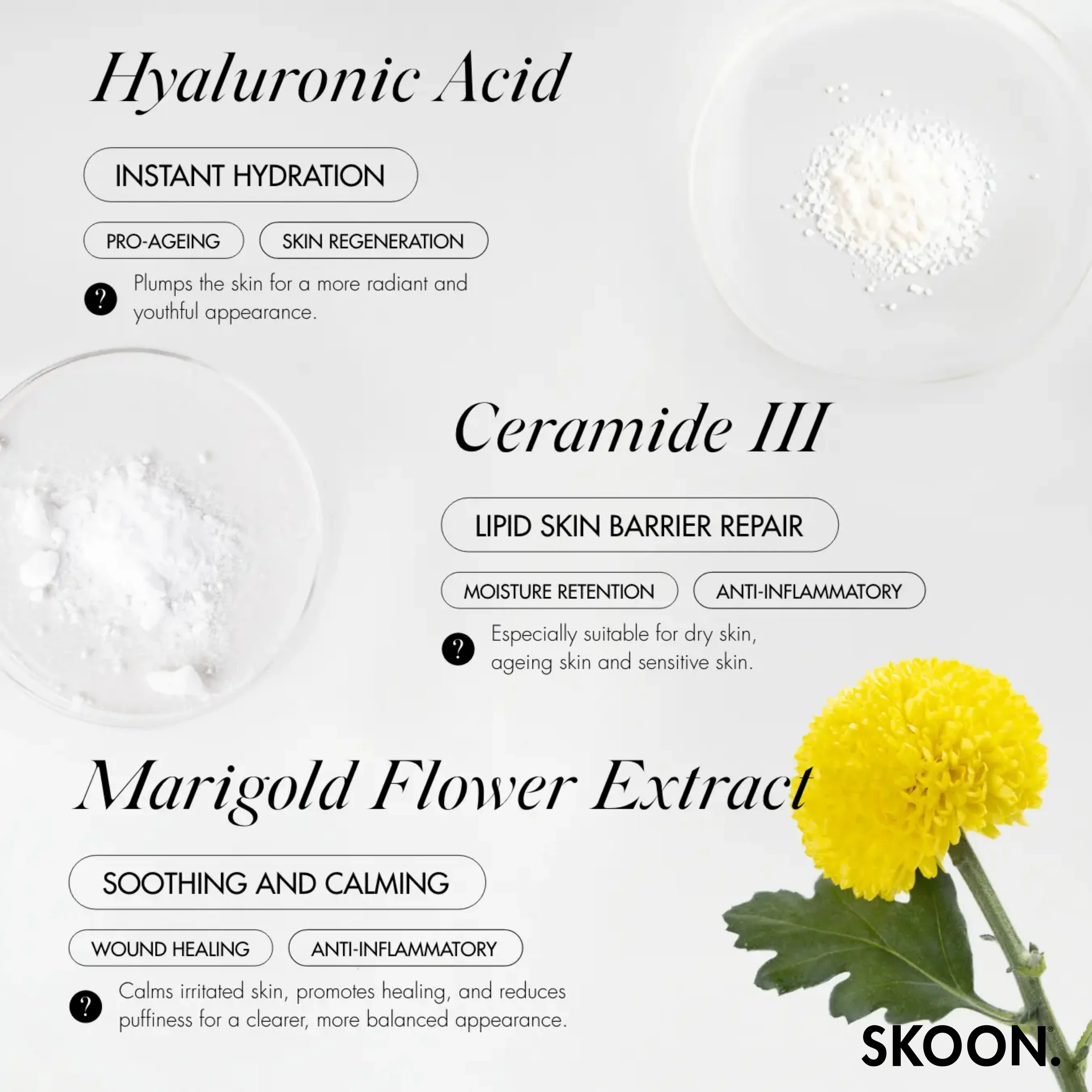 SKOON - The One Face Cream Hydra Plump 50ml - Image 3
